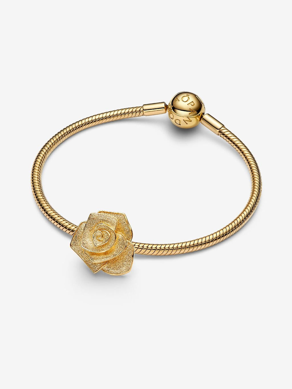 Pandora Rose in Bloom Oversized Charm
